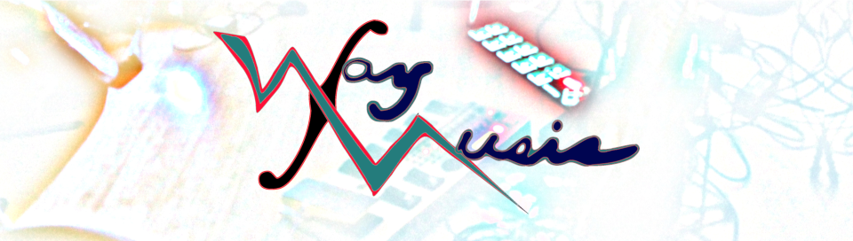 WAY.NET